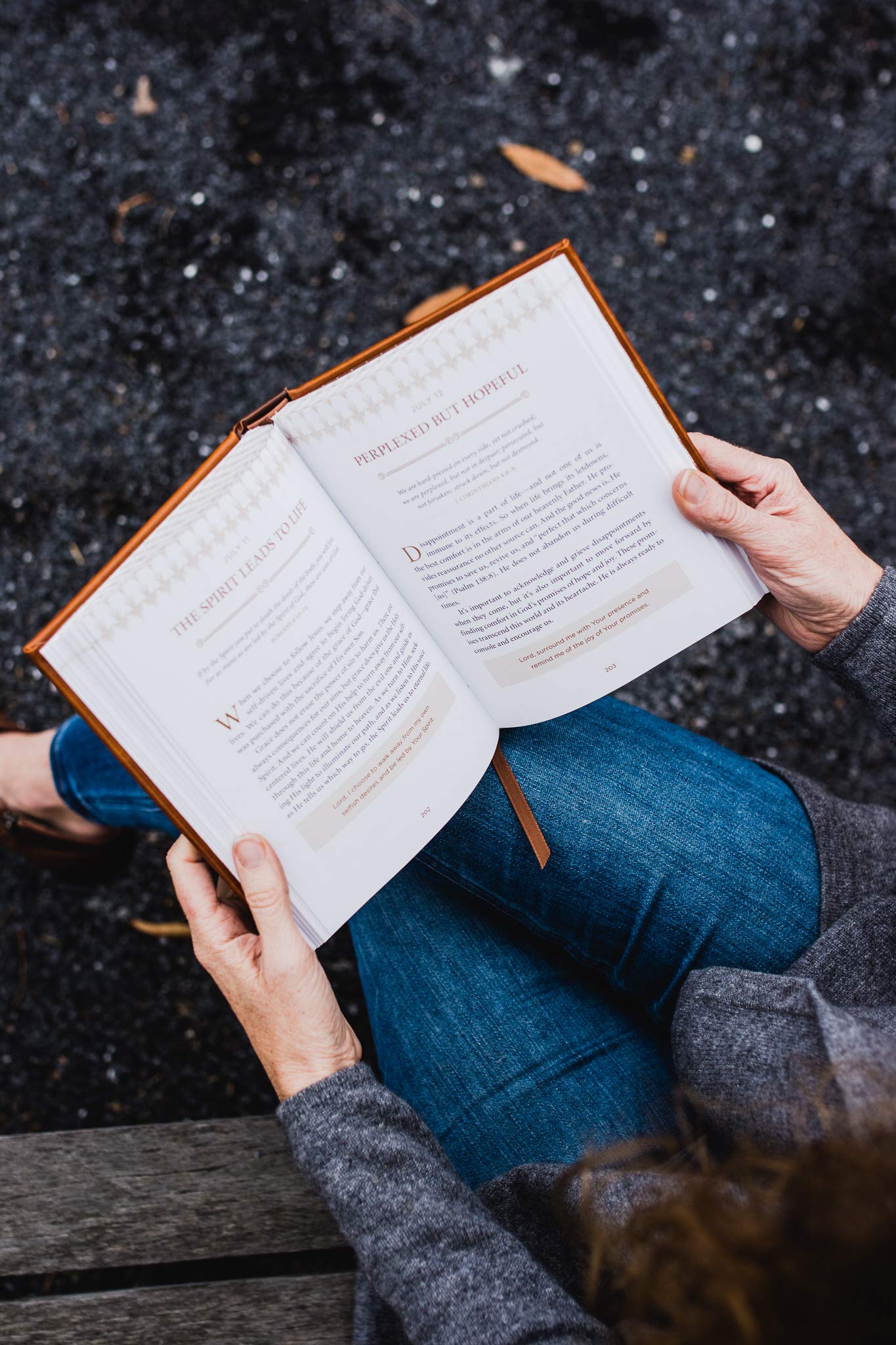 God's Promises Every Day: 365-Day Devotional