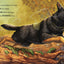 K9 Mattis on the Job: A Day in the Life of a Police Dog
