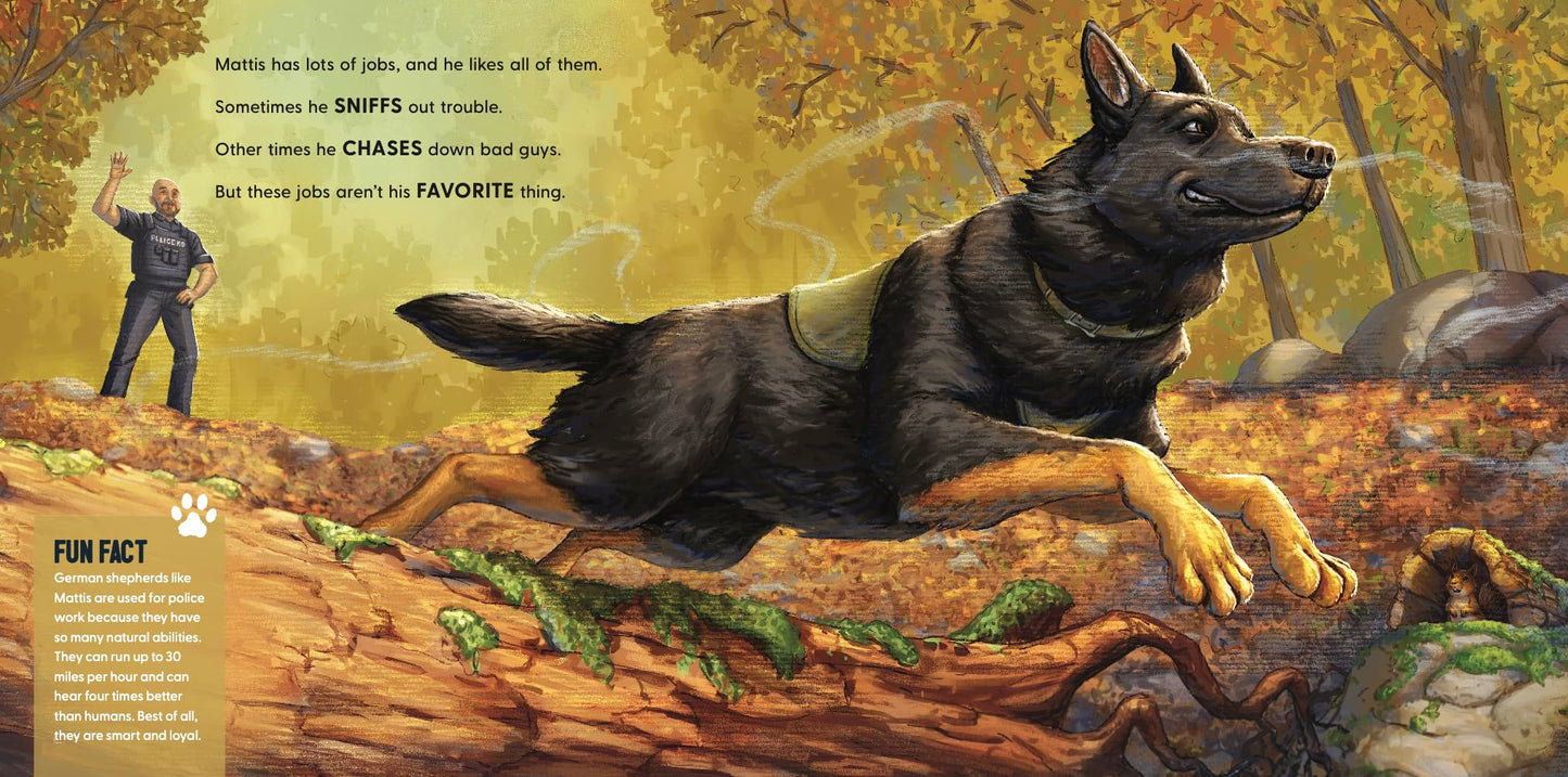 K9 Mattis on the Job: A Day in the Life of a Police Dog