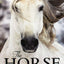 The Horse: Passion, Beauty, Splendor, Strength