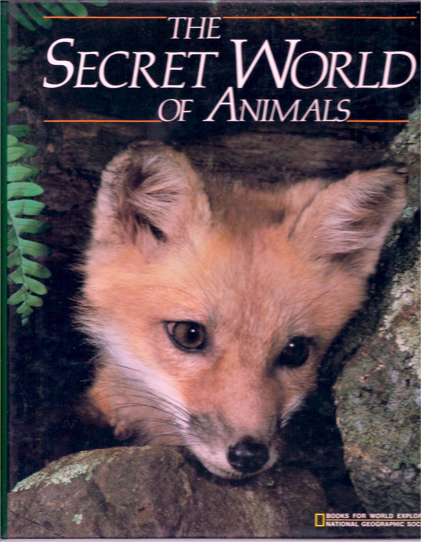 The Secret World of Animals (Books for World Explorers)