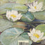 Beatrix Potter's Art: A Selection of Paintings and Drawings
