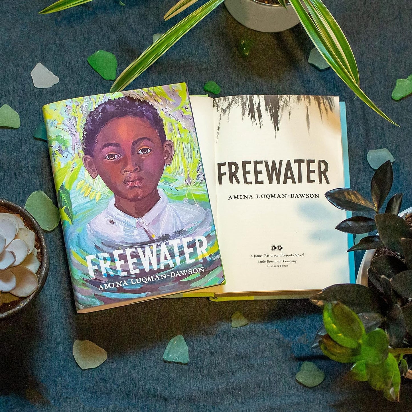 Freewater (Newbery & Coretta Scott King Award Winner)