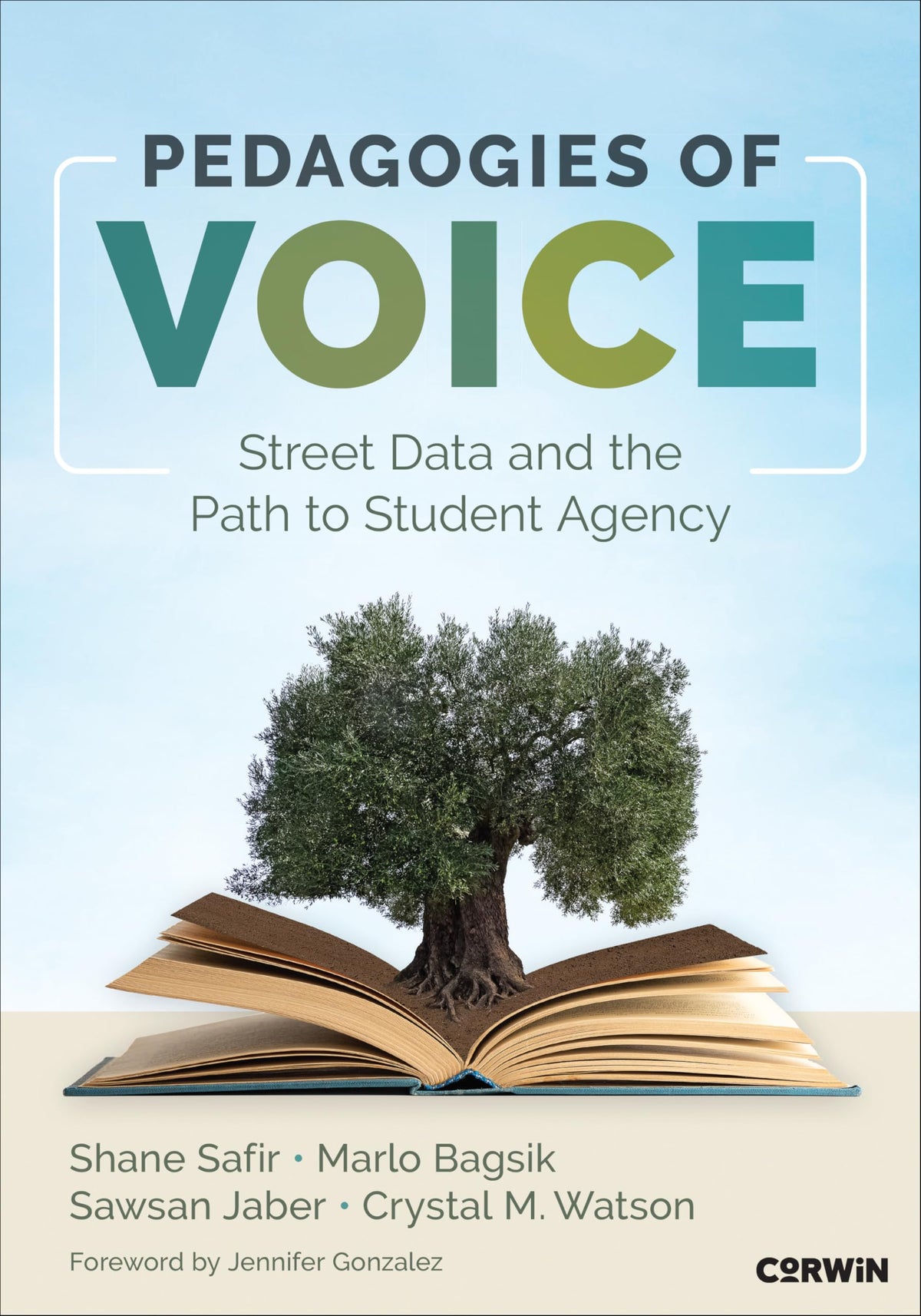 Pedagogies of Voice: Street Data and the Path to Student Agency