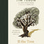 If the Tree Could Speak: The Story of the Cross That Saw It All