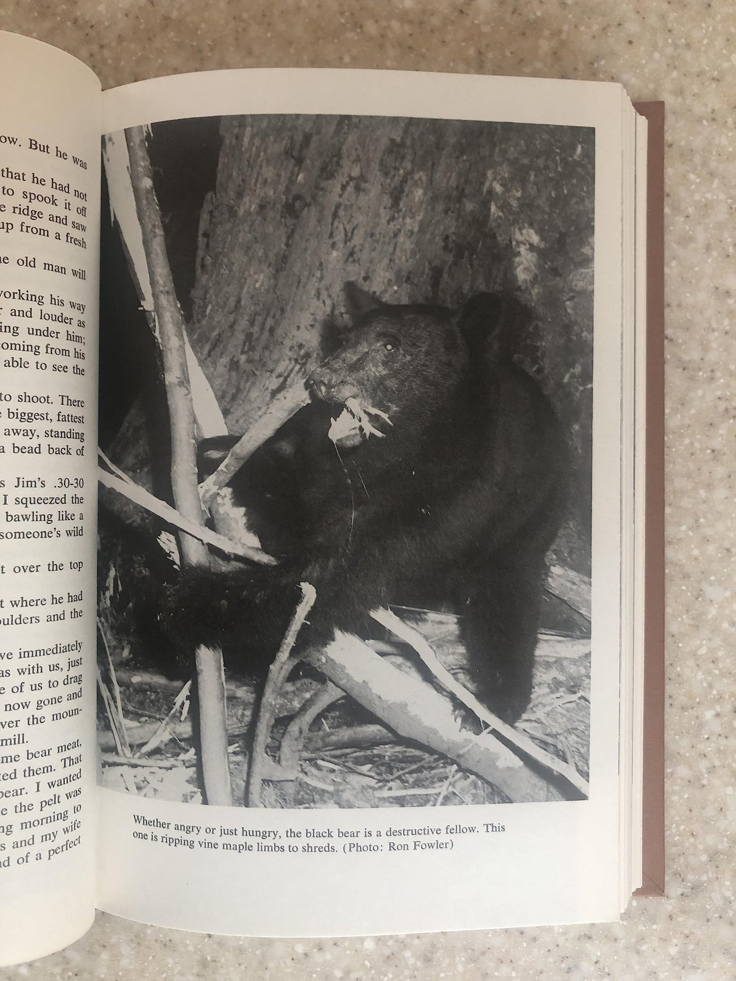 The Education of a Bear Hunter