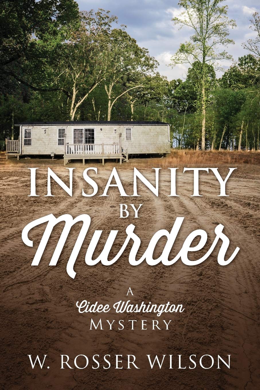 Insanity By Murder: A Cidee Washington Mystery