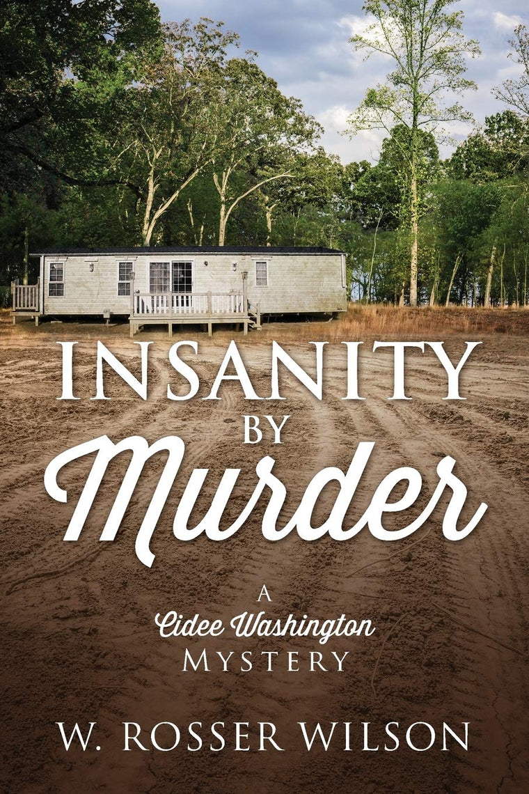 Insanity By Murder: A Cidee Washington Mystery