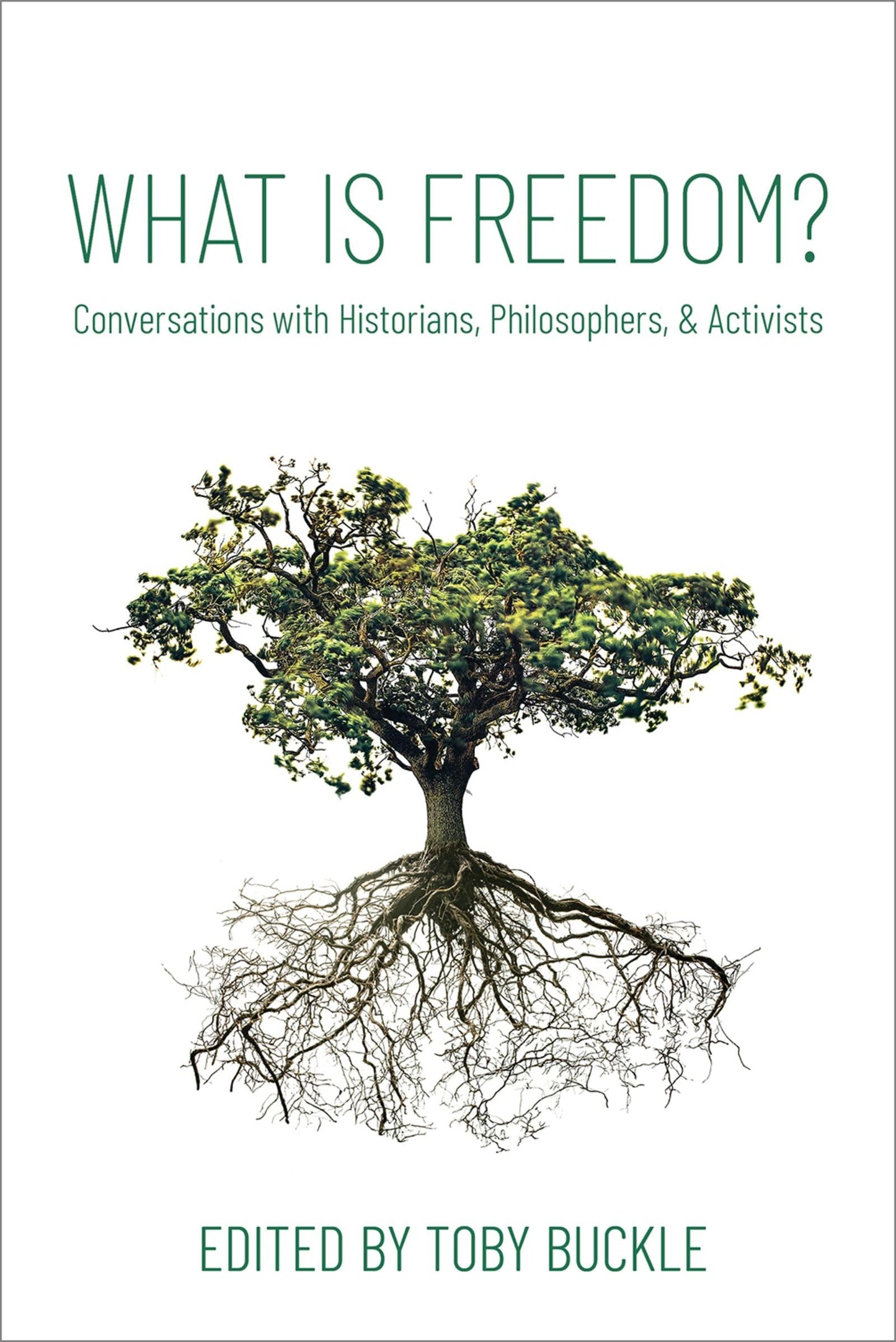What is Freedom?: Conversations with Historians, Philosophers, and Activists