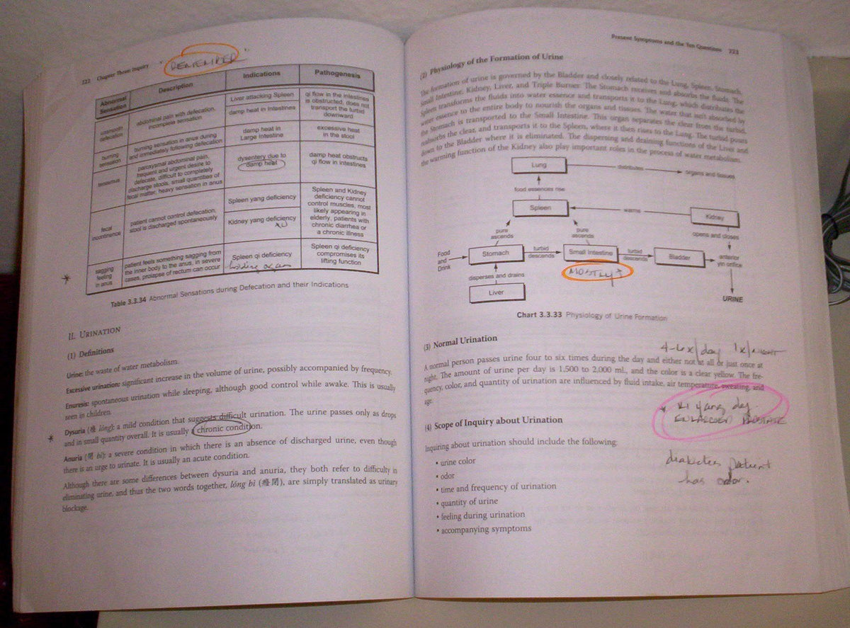 Traditional Chinese Medicine Diagnosis Study Guide