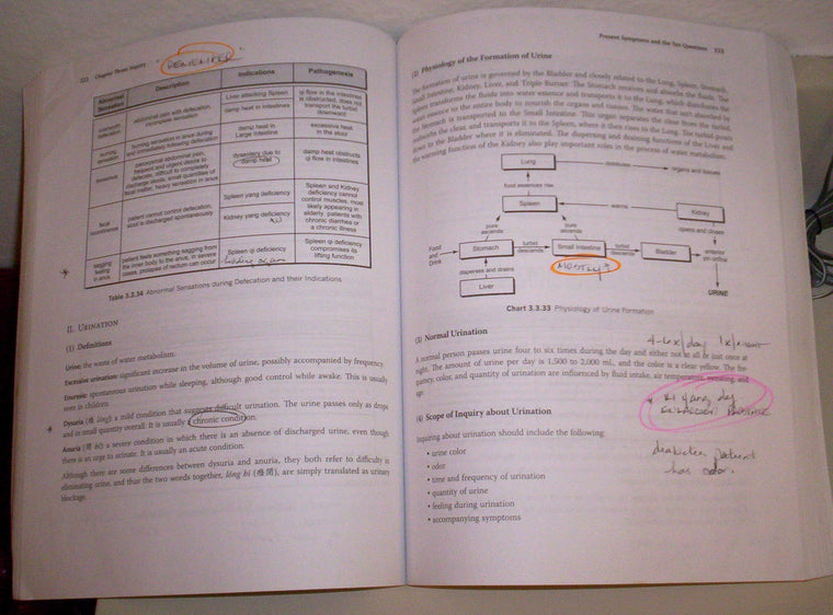 Traditional Chinese Medicine Diagnosis Study Guide — back cover