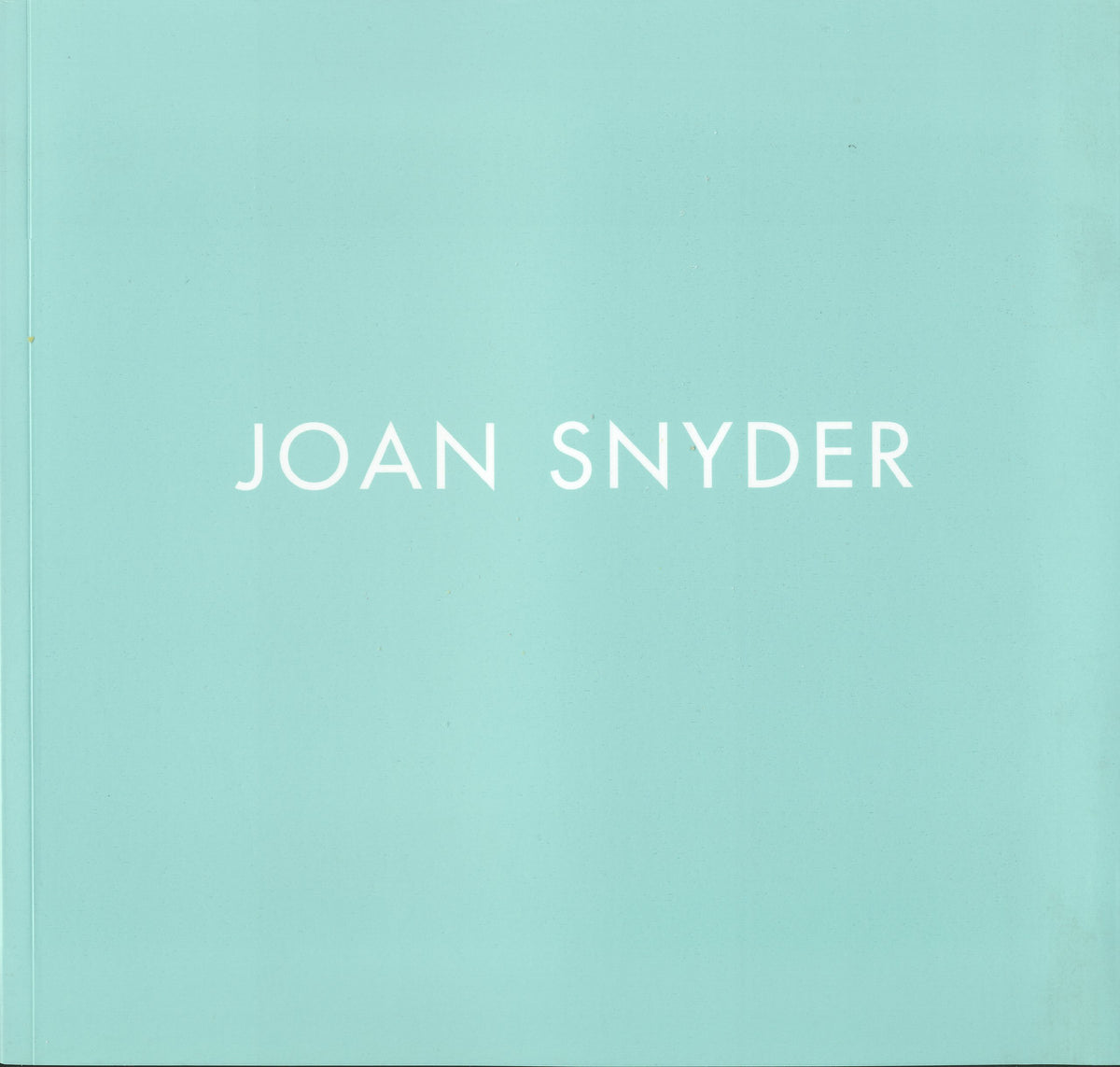 Joan Snyder: Primary Fields