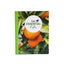 The Essential Life 6th Edition Essential Oils Book & Guide F