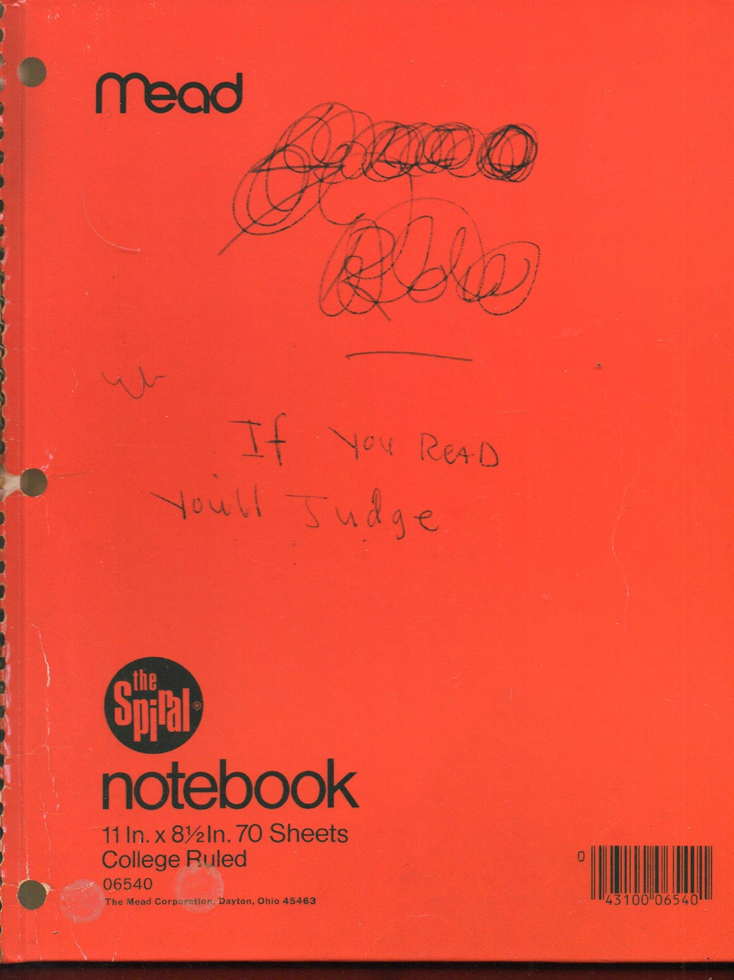 Journals by Kurt Cobain