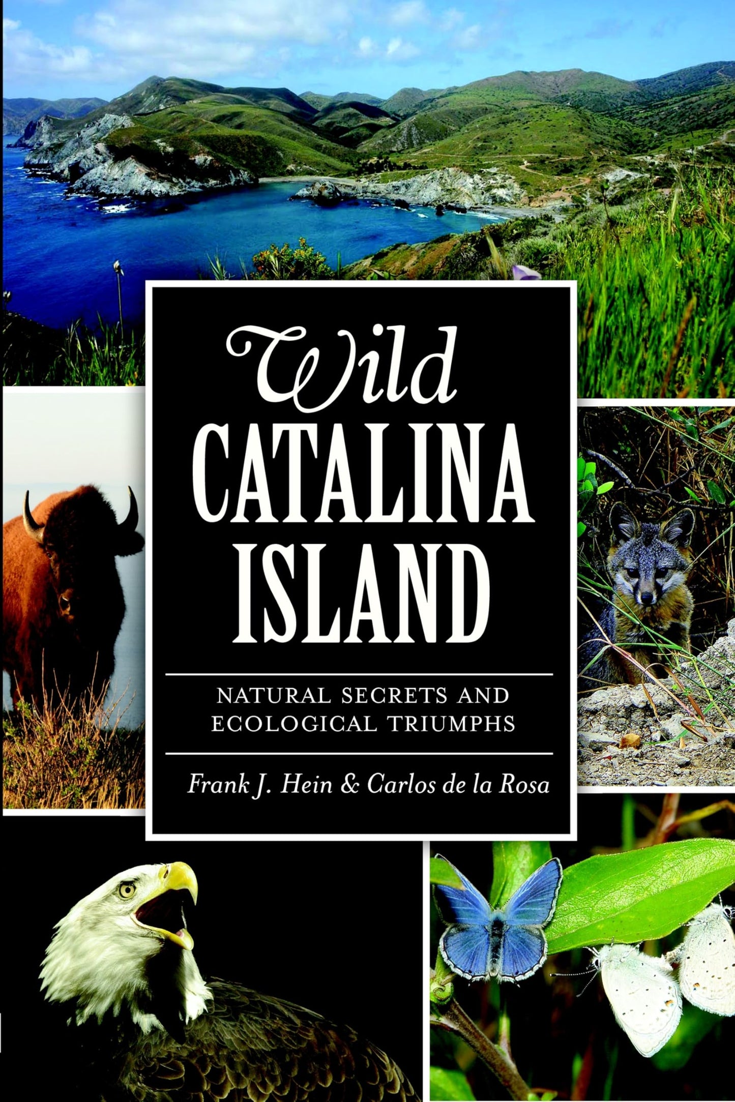 Wild Catalina Island:: Natural Secrets and Ecological Triumphs (Natural History)