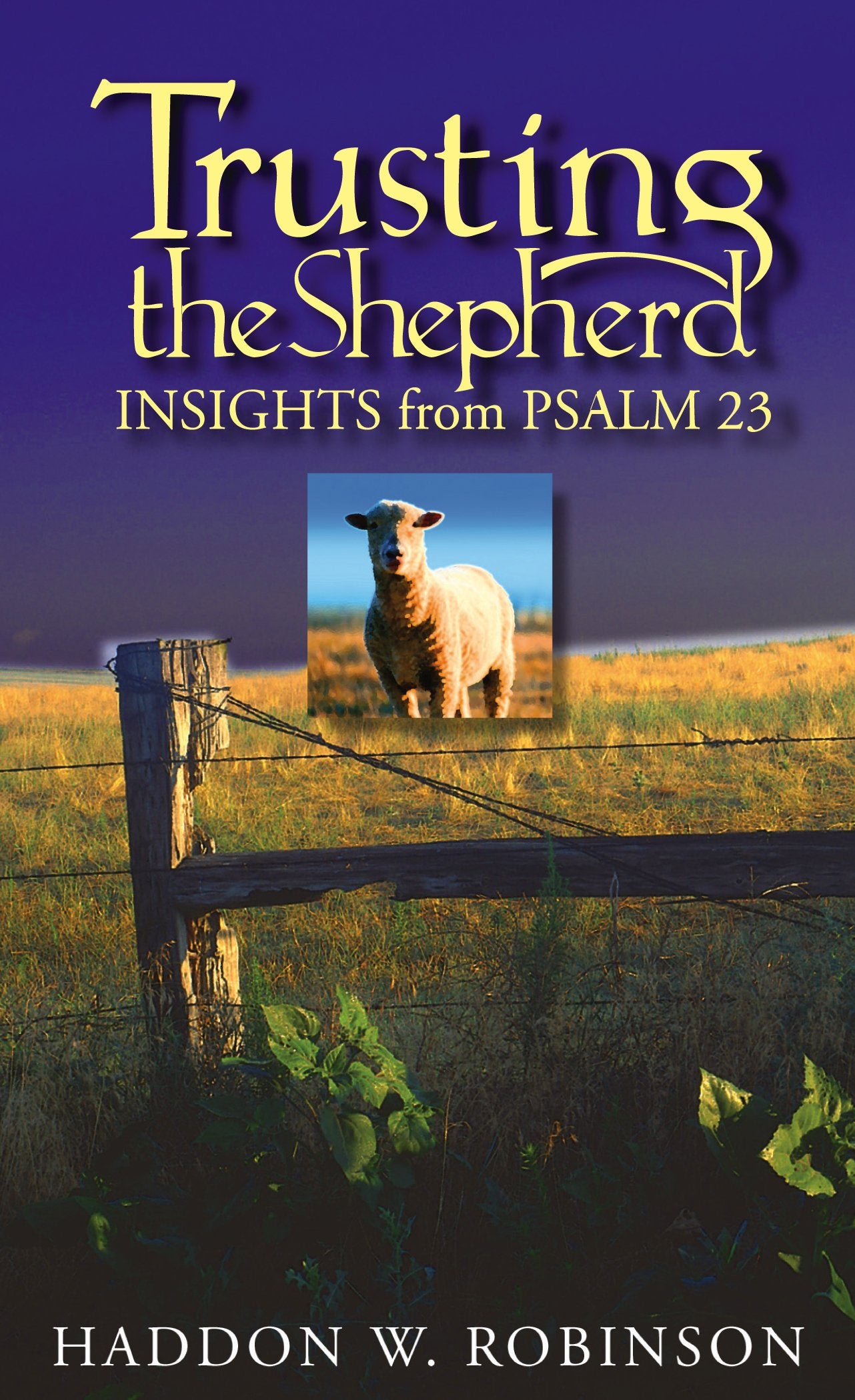 Trusting the Shepherd: Insights from Psalm 23