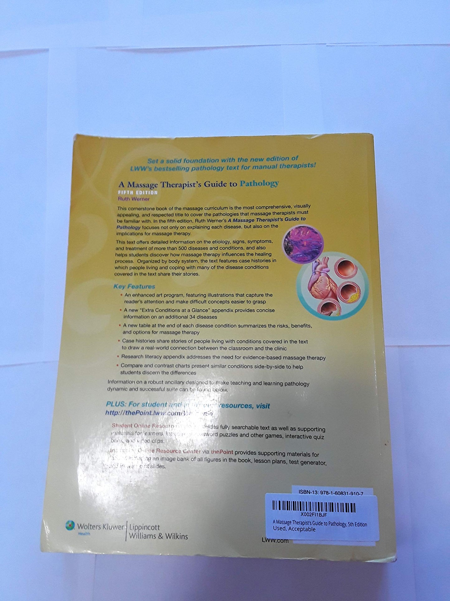 A Massage Therapist's Guide to Pathology, 5th Edition by Rut