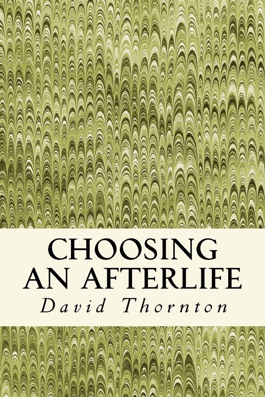 Choosing an Afterlife: Poetry 2008-2012