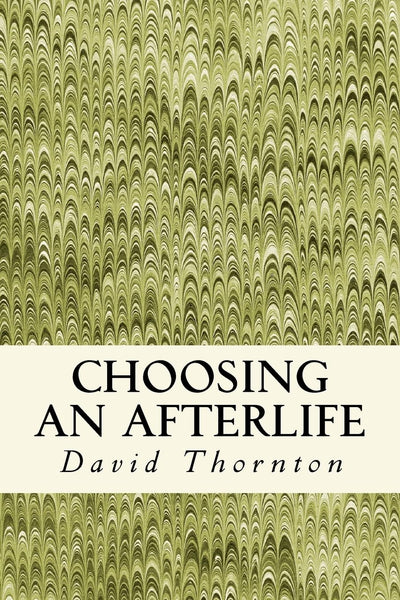 Choosing an Afterlife: Poetry 2008-2012