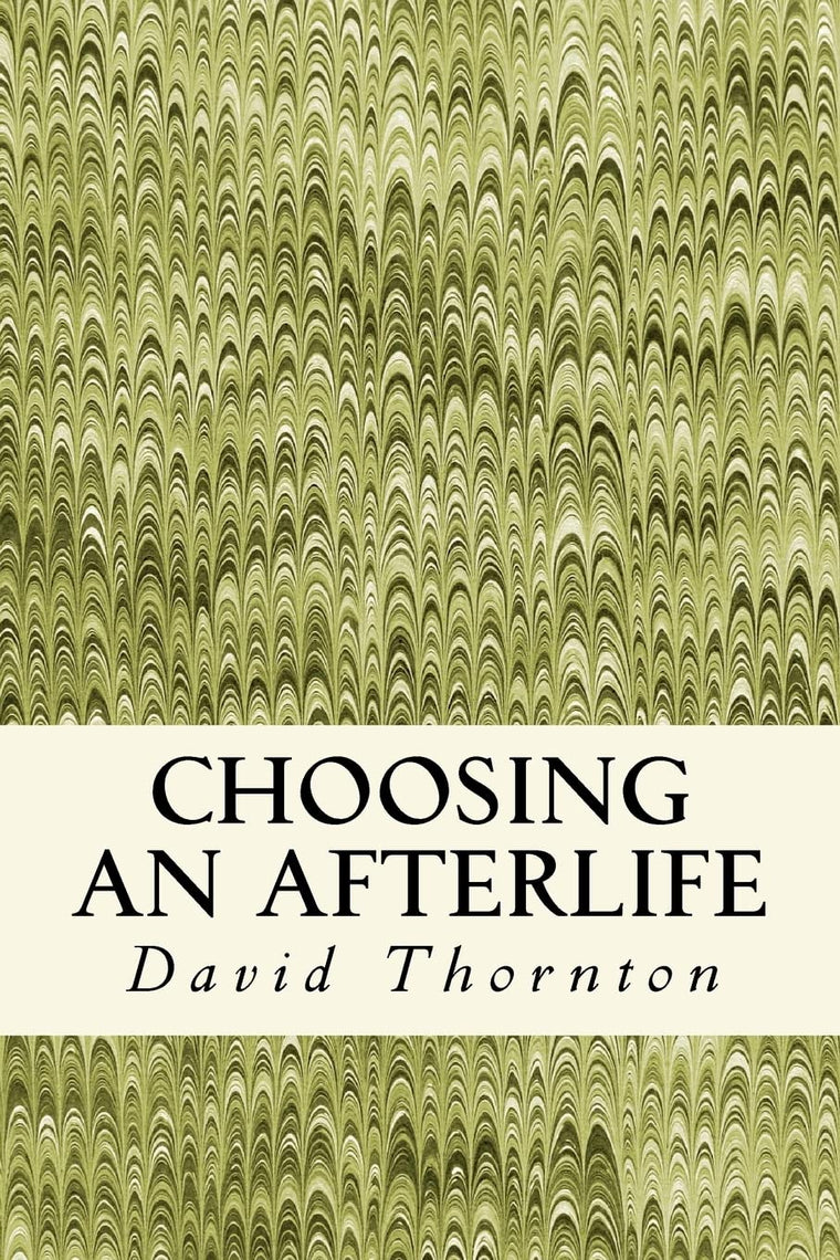 Choosing an Afterlife: Poetry 2008-2012