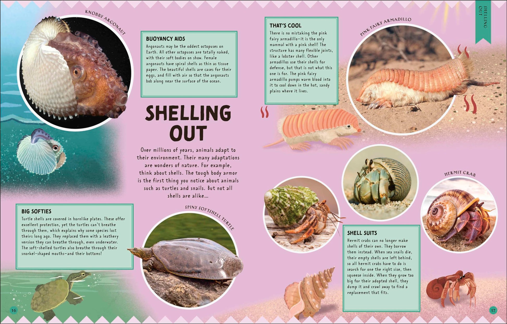 Odd Animals Out: More than 75 Animals that Break the Rules (Wonders of Wildlife)