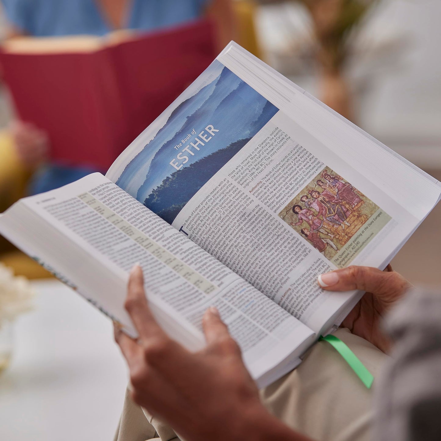 Evangelical Study Bible: Christ-centered. Faith-building. Mission-focused. (NKJV, Pink Leathersoft, Red Letter, Large Comfort Print)