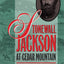 Stonewall Jackson at Cedar Mountain (Civil War America)