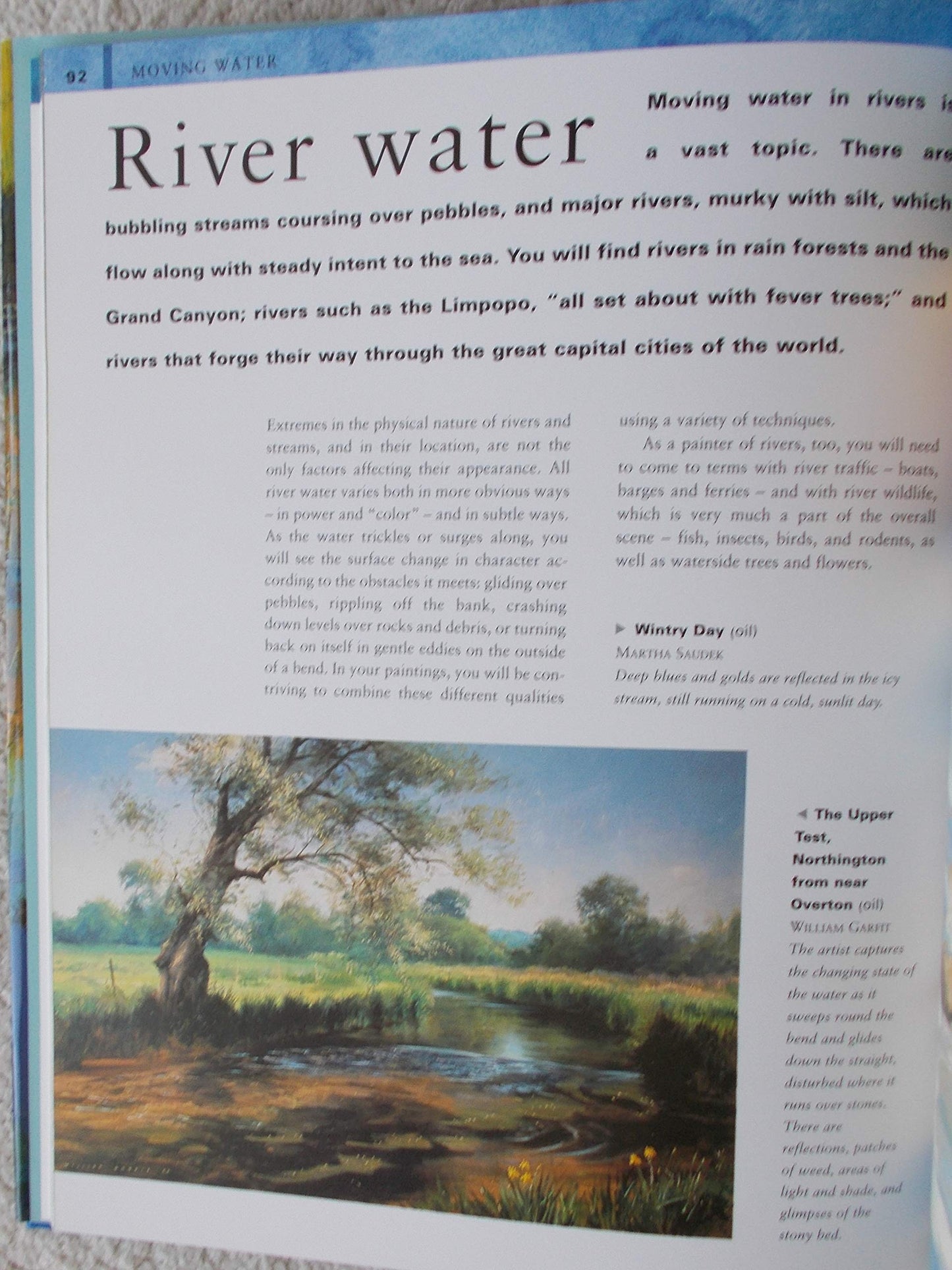 How to Paint Water - Patricia Seligman