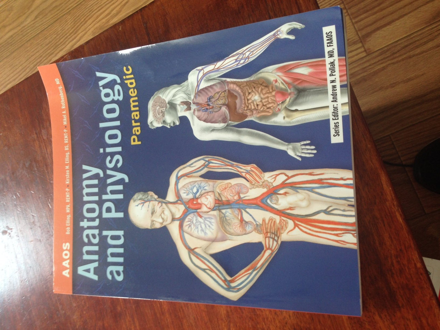 Anatomy & Physiology Paramedic