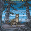Warriors: Winds of Change (Full-Color Adventure)