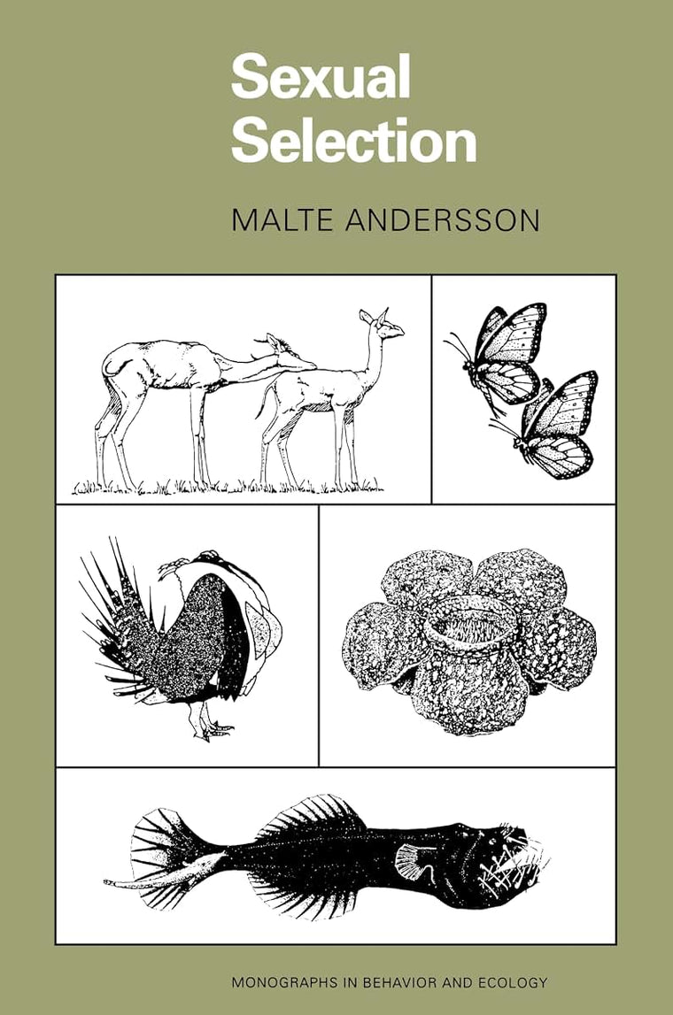 Sexual Selection