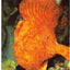 Encyclopedia of Fishes, Second Edition (Natural World)