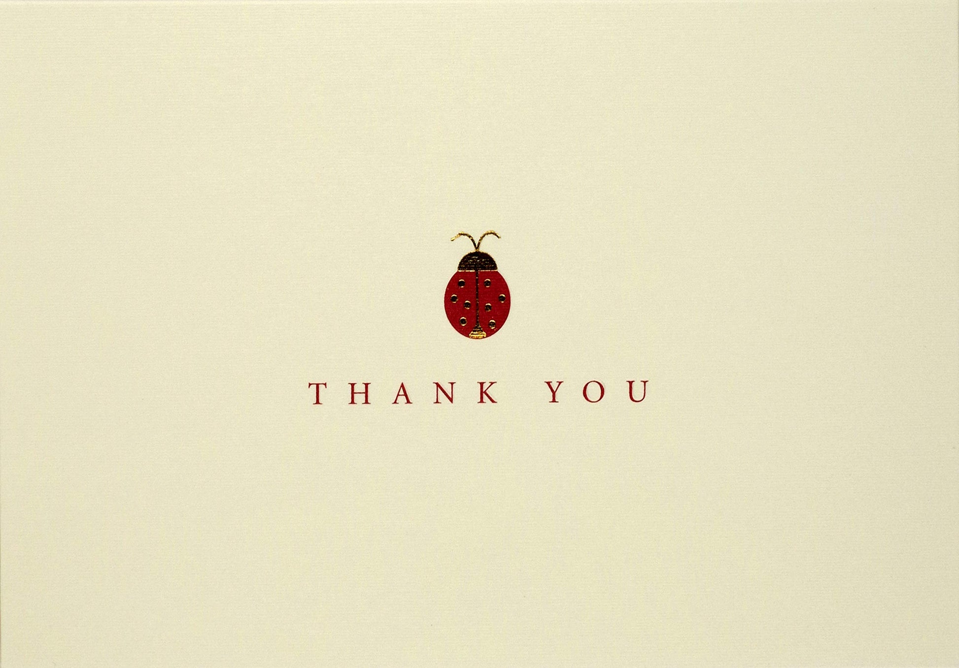 Ladybug Thank You Notes (Note Card Series)