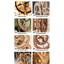 Making Wooden Gear Clocks: 6 Cool Contraptions That Really Keep Time (Fox Chapel Publishing) Step-by-Step Projects for Handmade Clocks, from Beginner to Advanced; Includes Full-Size Pattern Pack