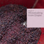 The WineMaker Guide to Home Winemaking: Craft Your Own Great