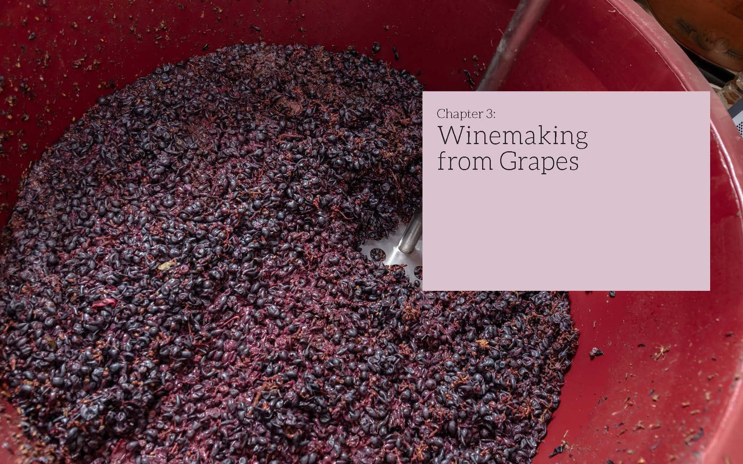 The WineMaker Guide to Home Winemaking: Craft Your Own Great