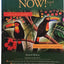 Spanish Now!: Level 2 (English and Spanish Edition)