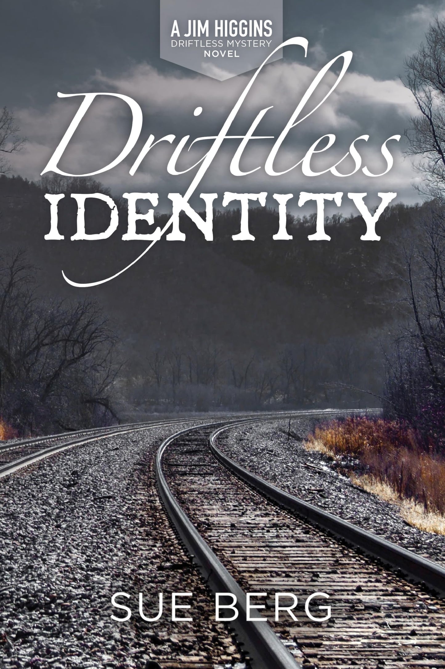 Driftless Identity (A Jim Higgins Driftless Mystery, 6)