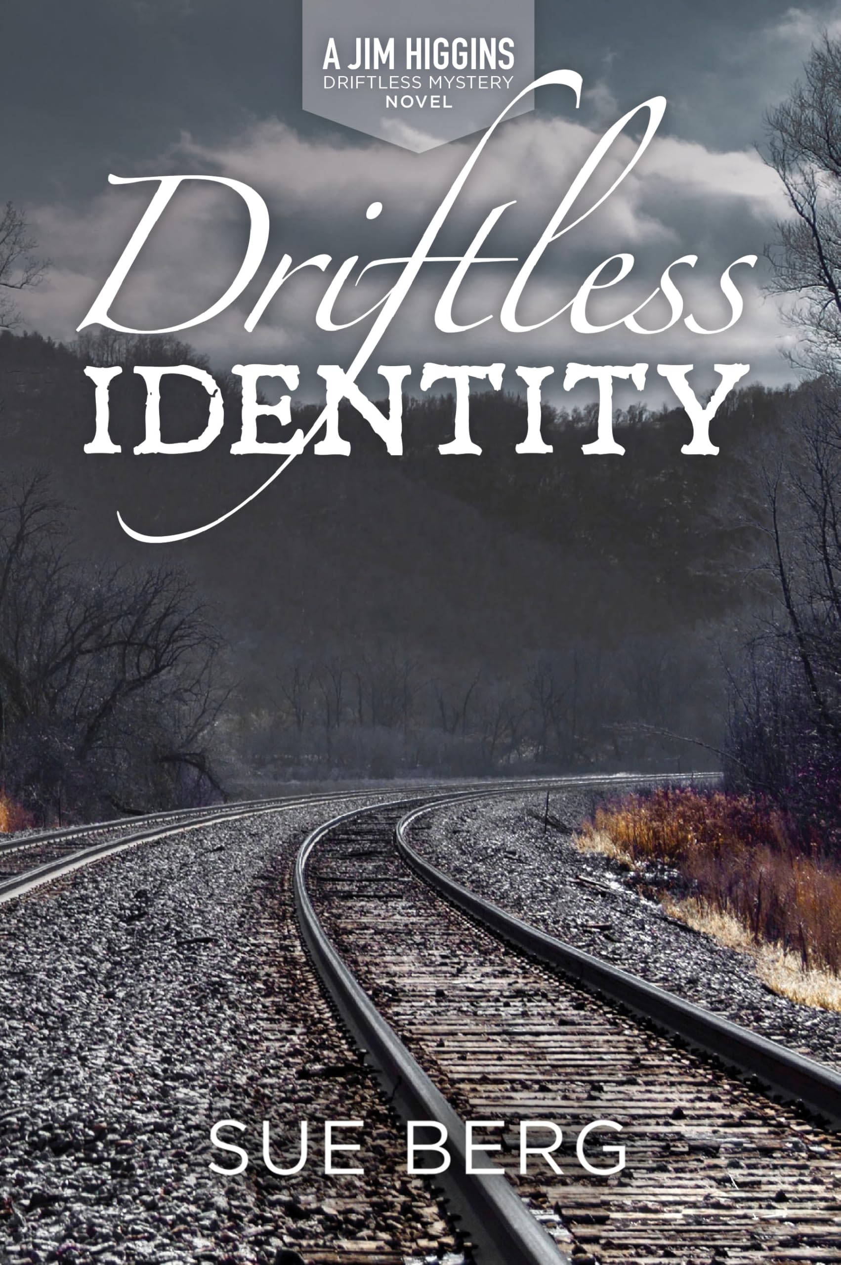 Driftless Identity (A Jim Higgins Driftless Mystery, 6)