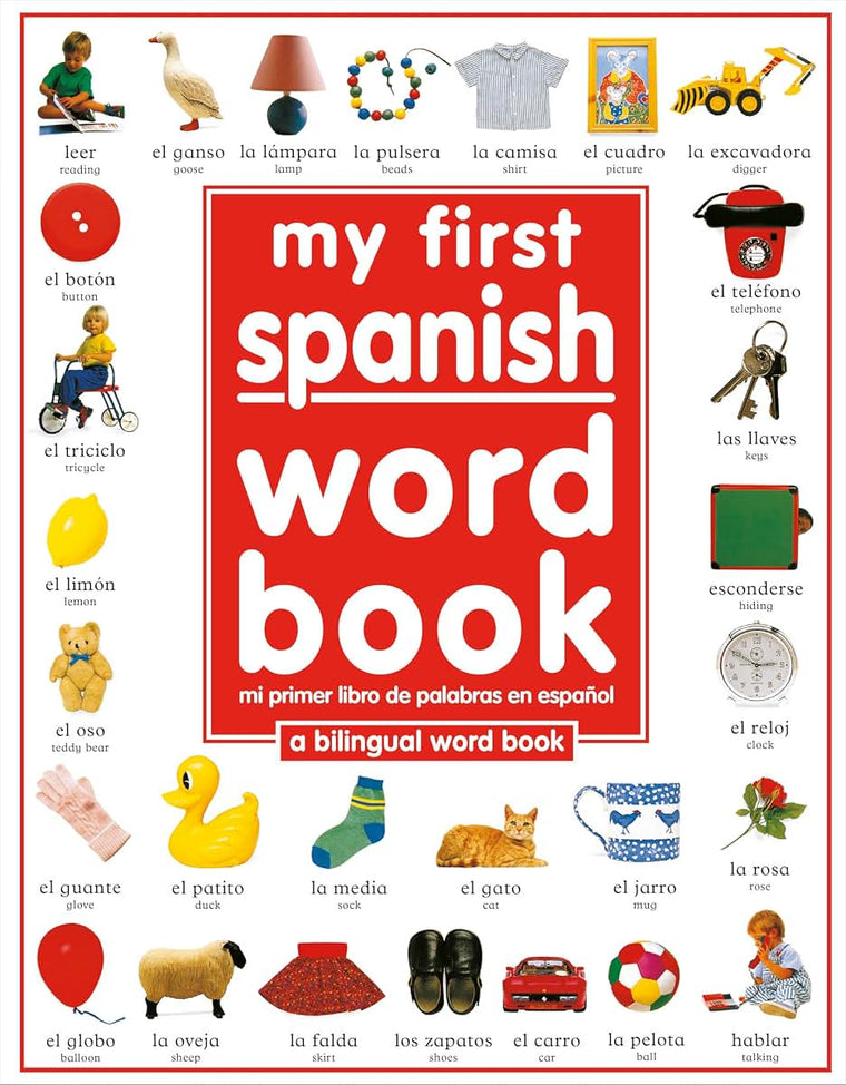 My 1st Spanish Word Book / Mi Primer Libro De Palabras EnEspanol: A Bilingual Word Book
