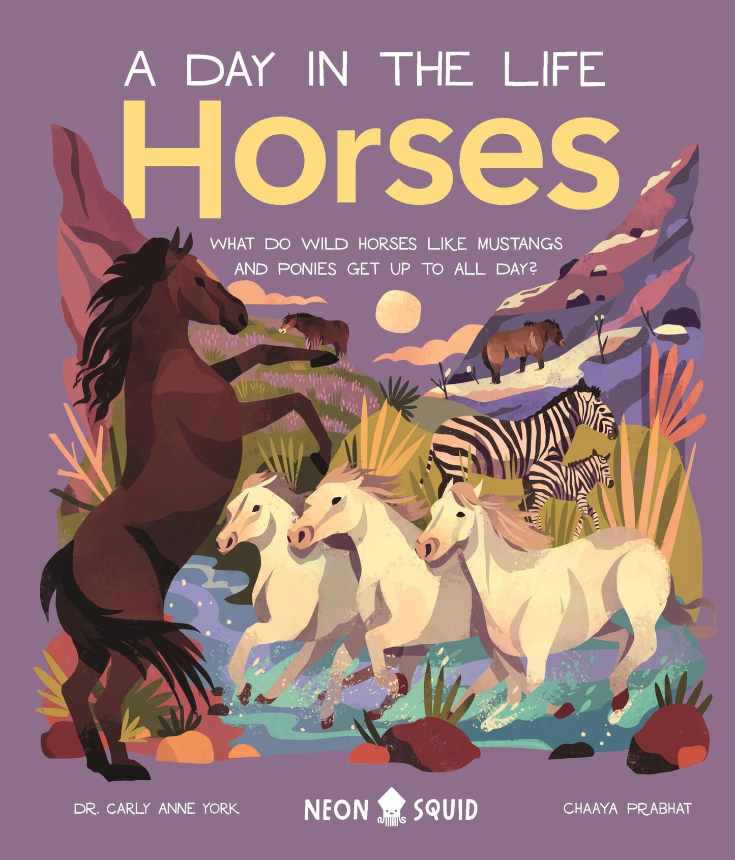 Horses (A Day in the Life): What Do Wild Horses like Mustangs and Ponies Get Up To All Day?