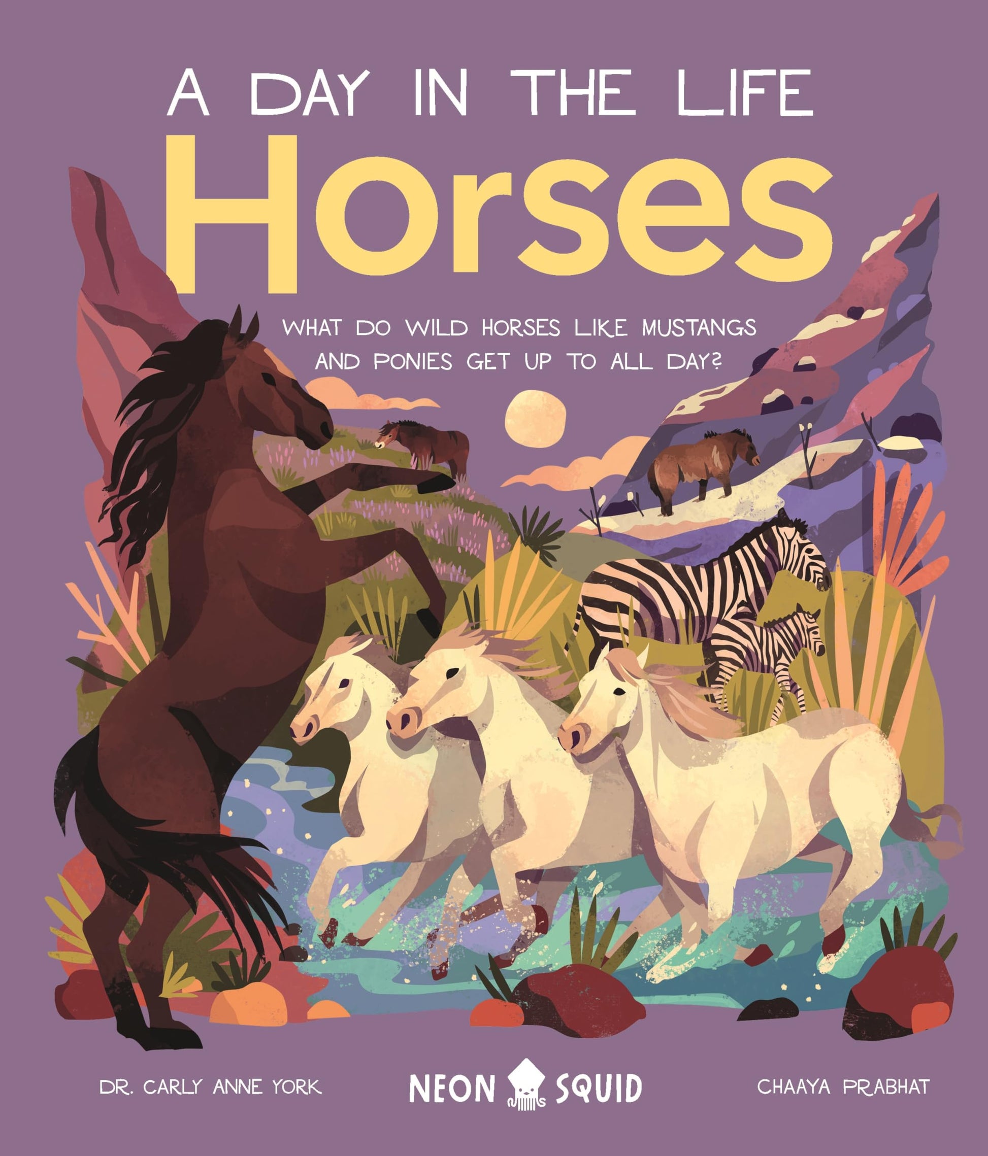 Horses (A Day in the Life): What Do Wild Horses like Mustangs and Ponies Get Up To All Day?