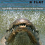 Alligators in B-Flat: Improbable Tales from the Files of Real Florida (Florida History and Culture)