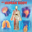 Explore the Human Body