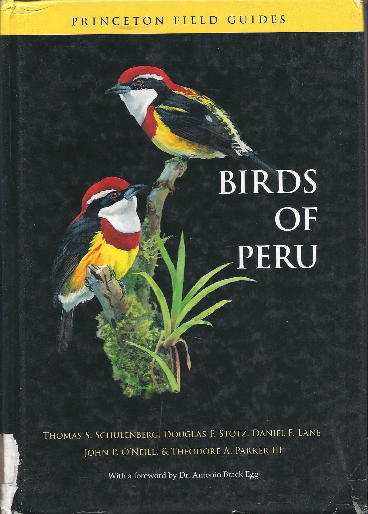 Birds of Peru (Princeton Field Guides, 44)