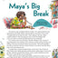 Making Connections Book 5