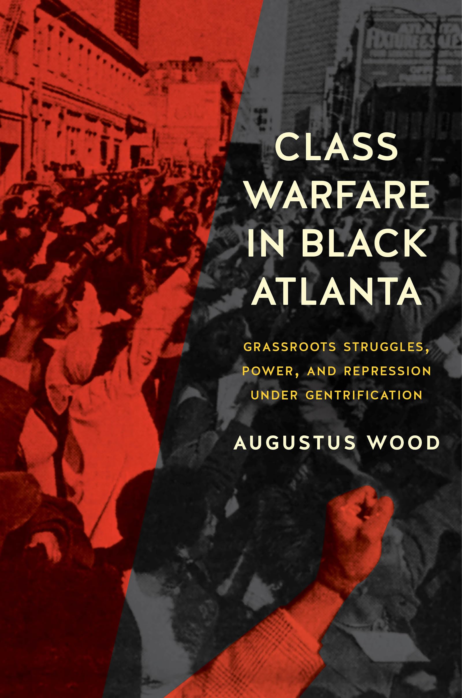 Class Warfare in Black Atlanta: Grassroots Struggles, Power, and Repression under Gentrification (Justice, Power, and Politics)