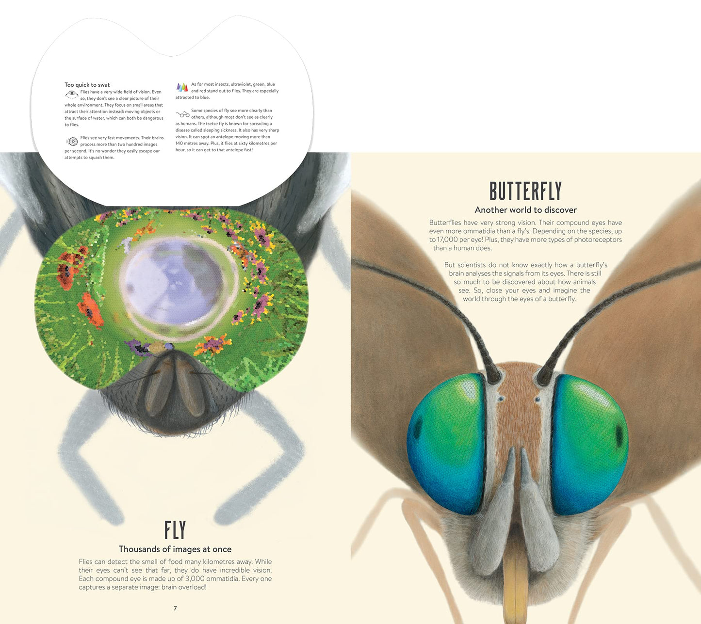 Eye Spy: Wild Ways Animals See the World