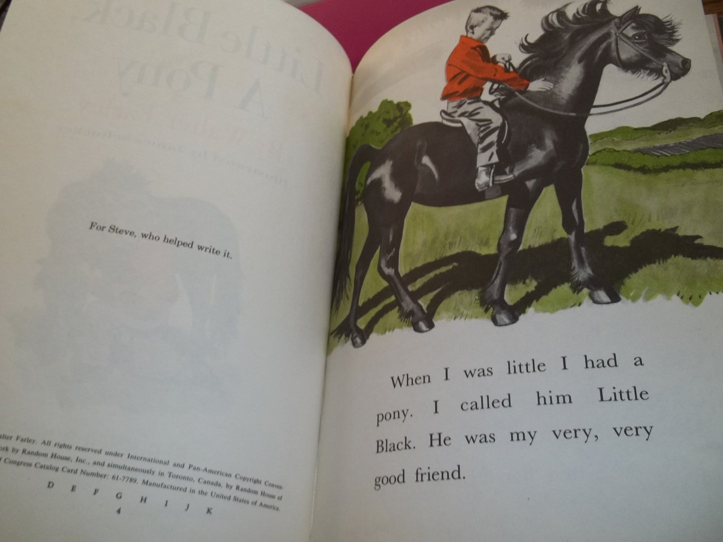 Little Black, A Pony by Walter Farley - New Hardcover