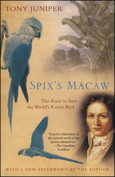 Spix's Macaw: The Race to Save the World's Rarest Bird